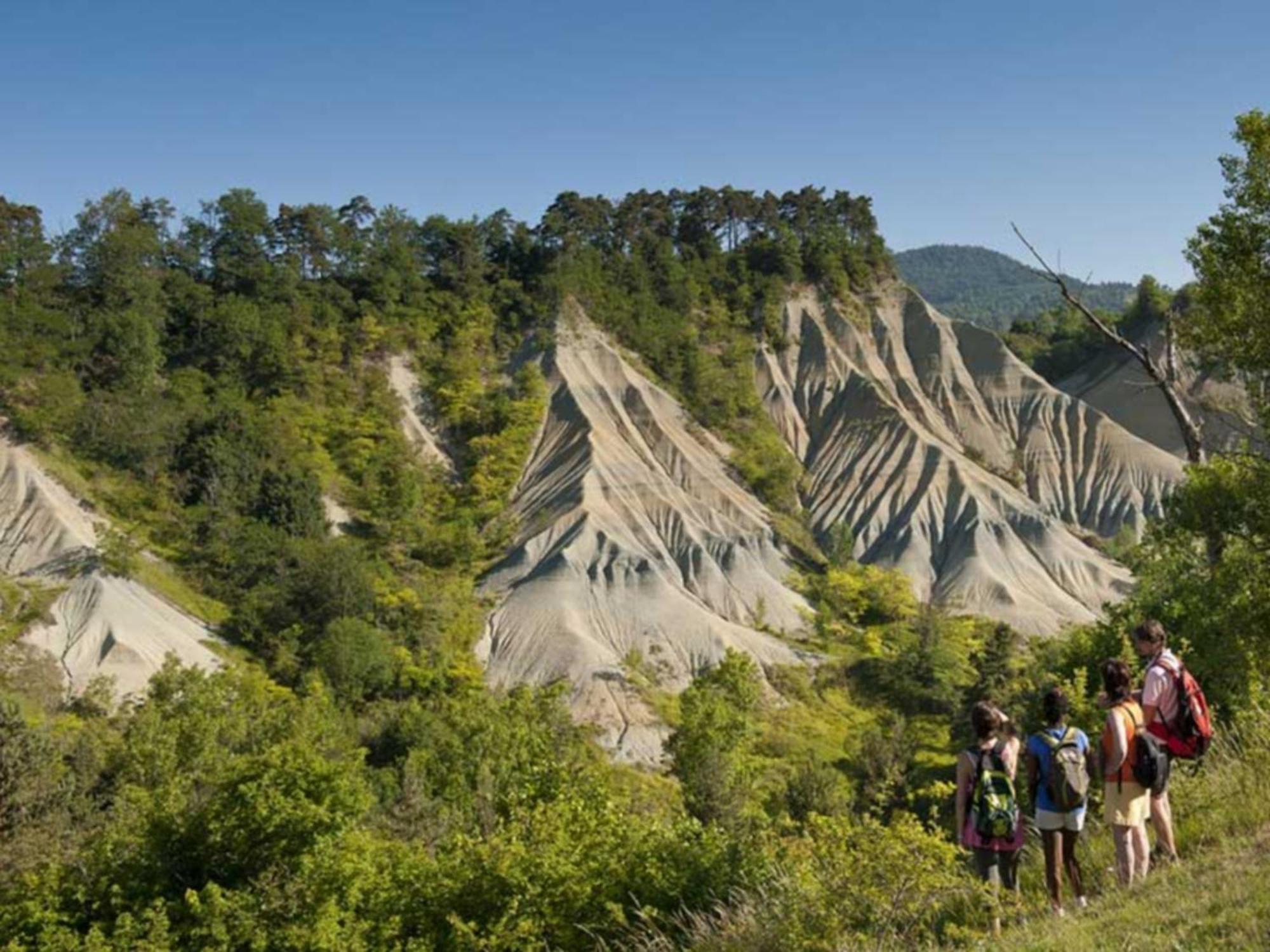 L'Oree Du Pichier Boisset  Cameră foto